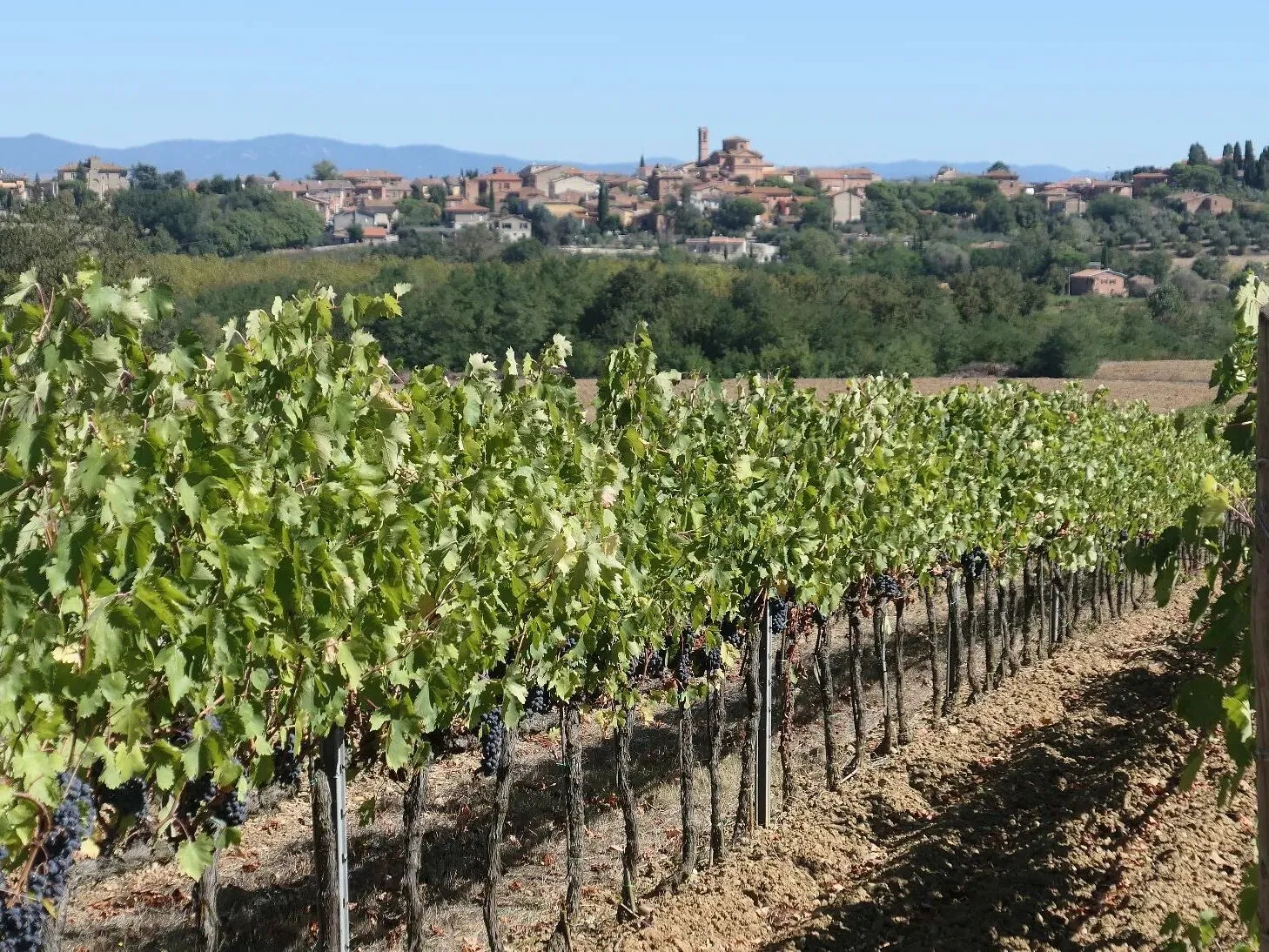 Route afbeelding slider