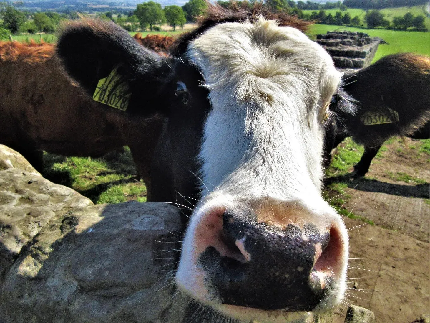 Route afbeelding slider