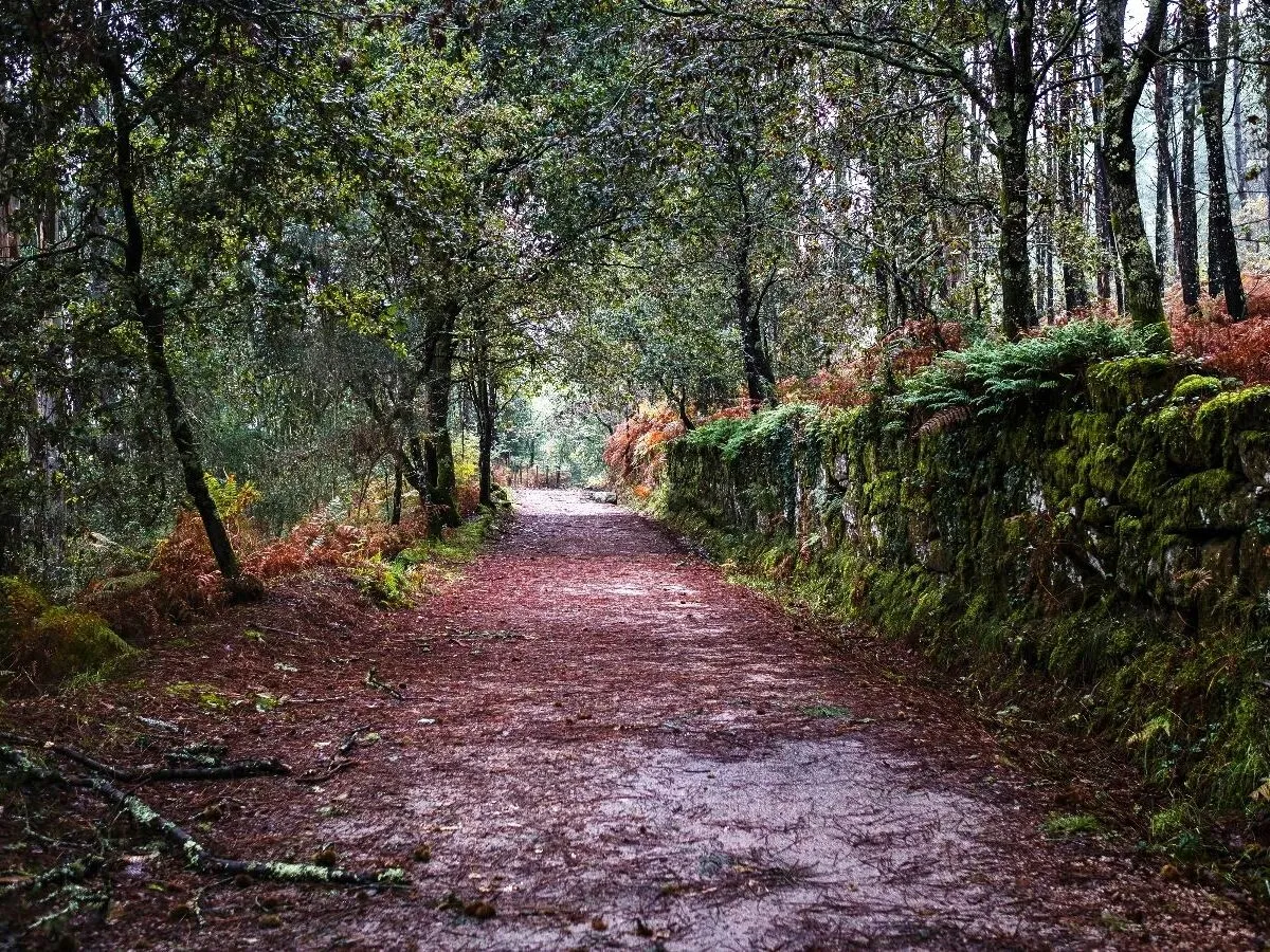 Route afbeelding slider