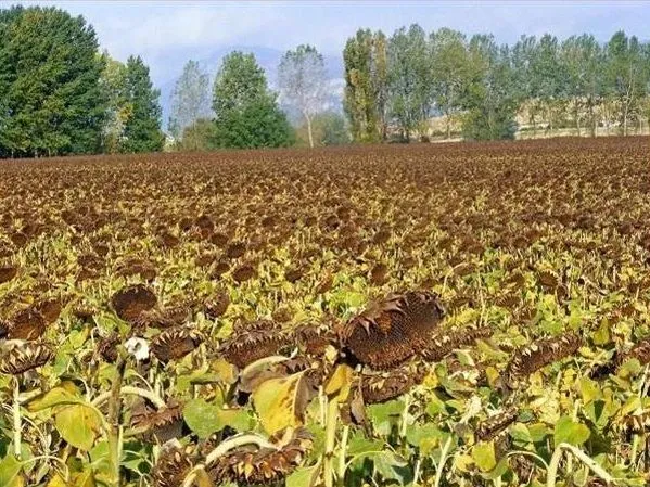 Route afbeelding slider