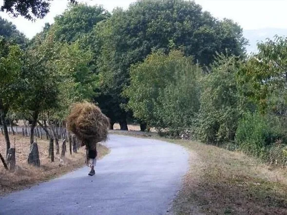 Route afbeelding slider