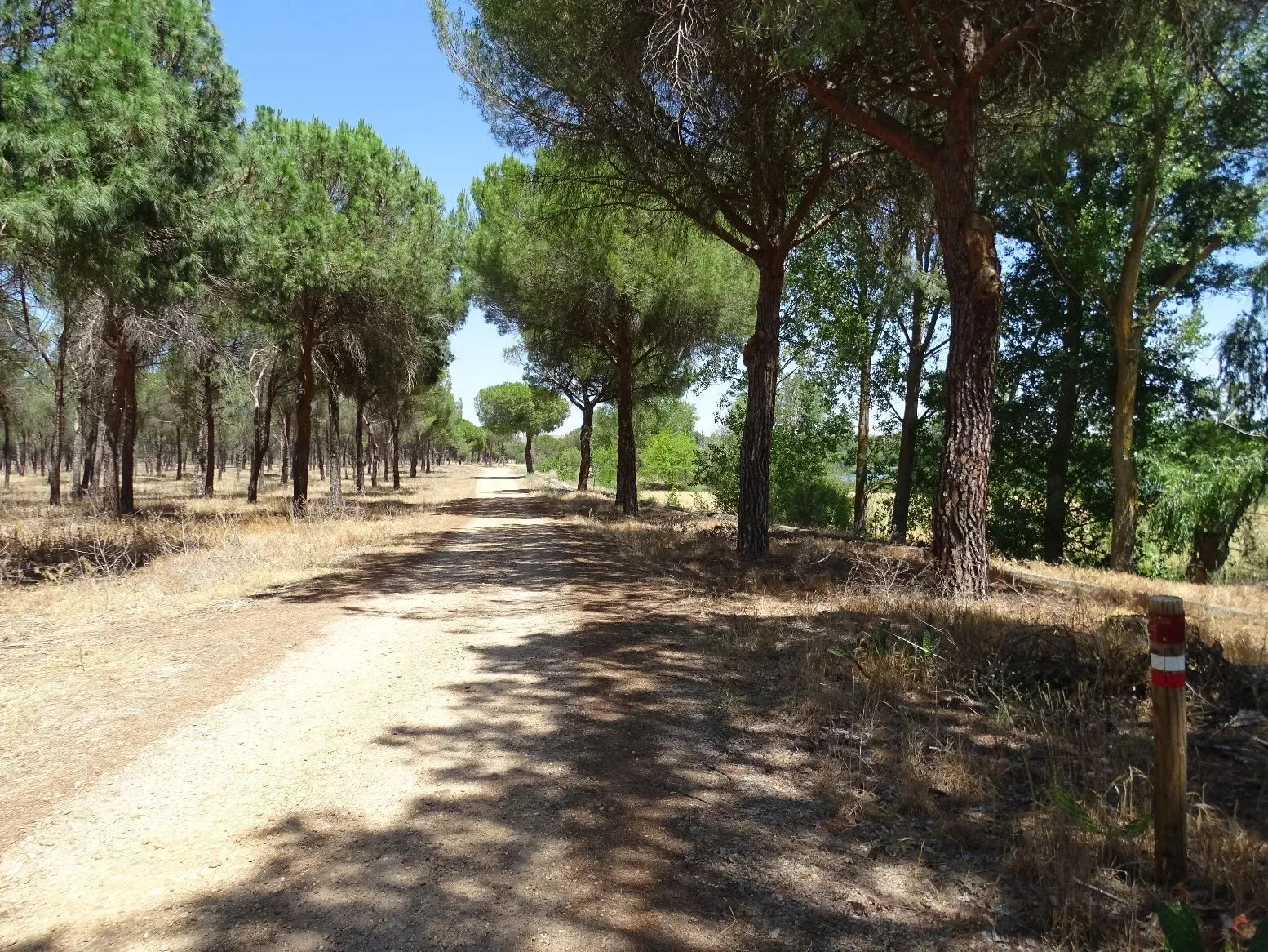 Route afbeelding slider