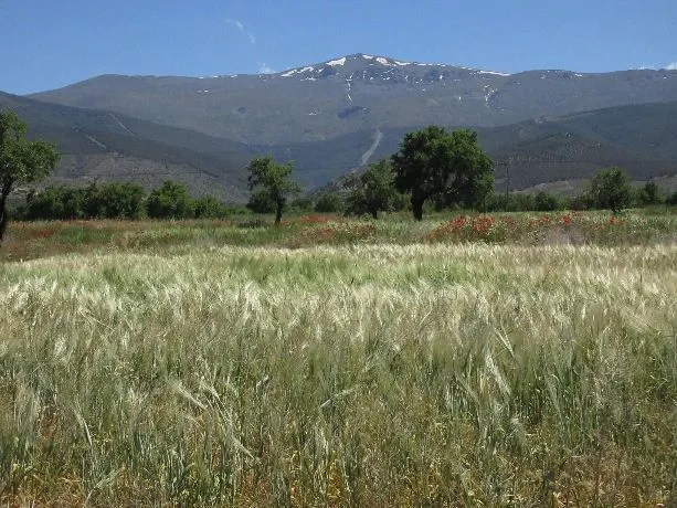 Route afbeelding slider