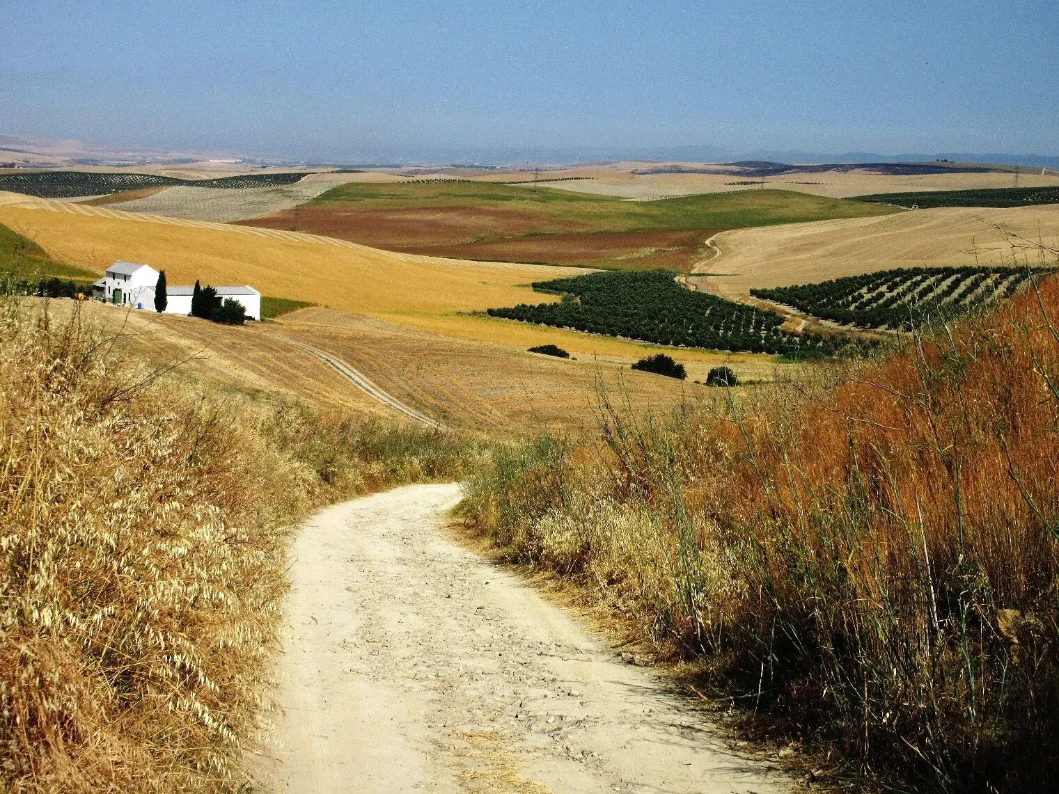 Route afbeelding slider