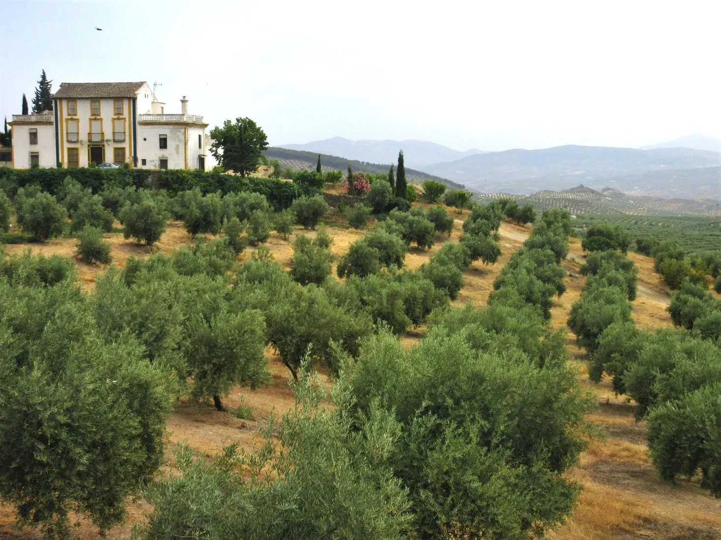 Route afbeelding slider