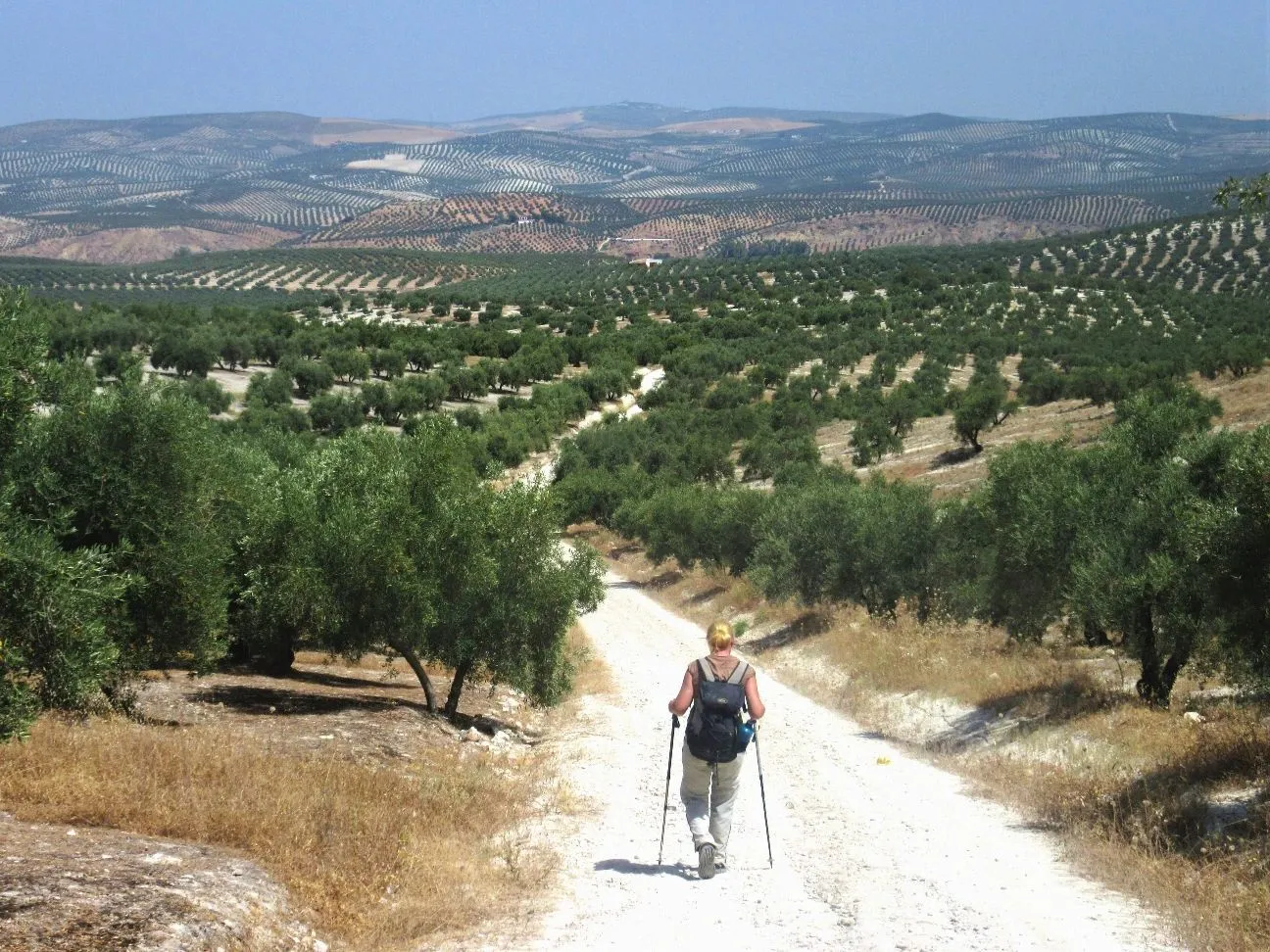 Route afbeelding slider