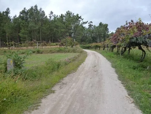 Route afbeelding slider