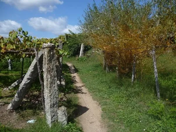 Route afbeelding slider