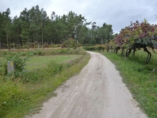 Route afbeelding slider