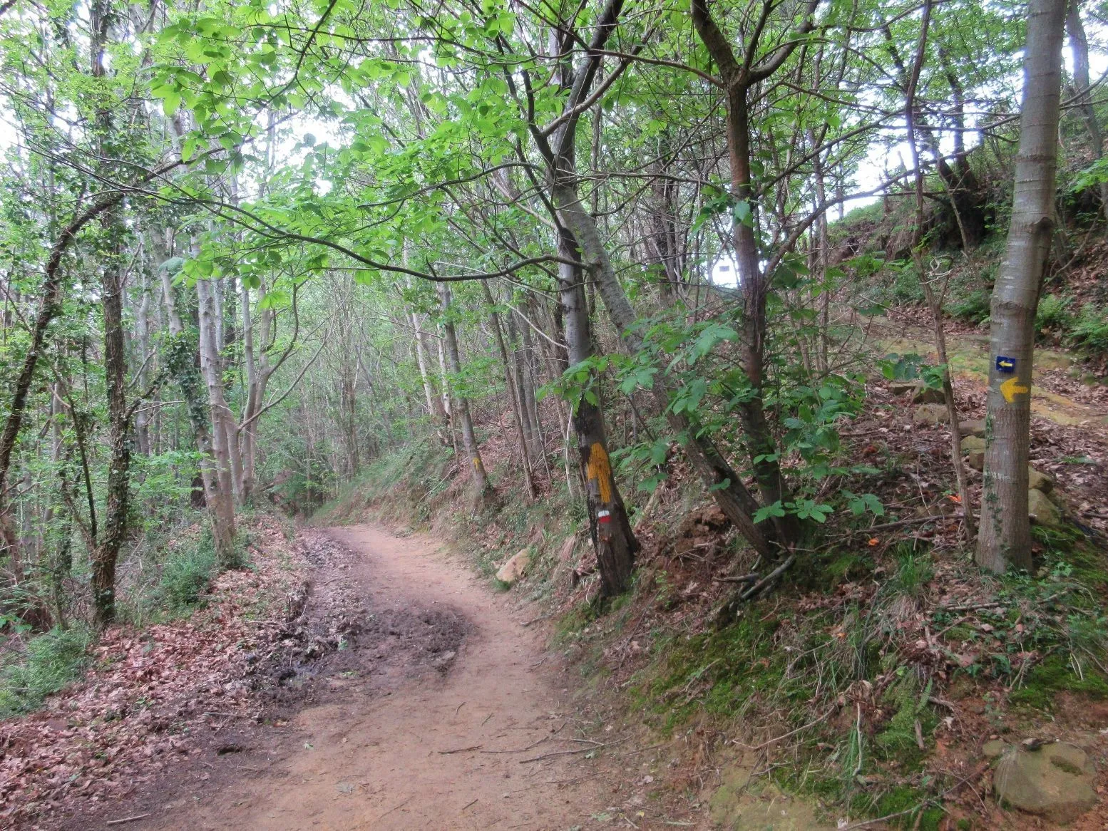 Route afbeelding slider