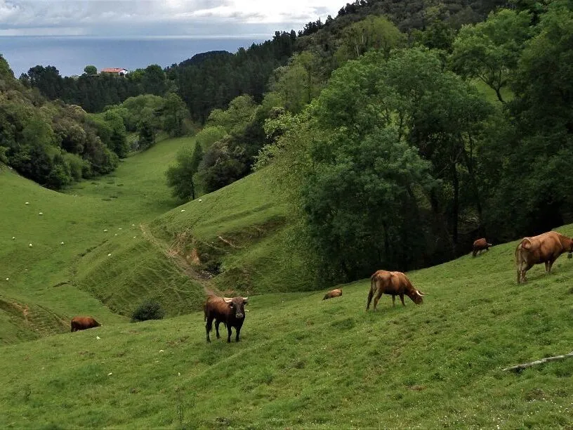 Route afbeelding slider