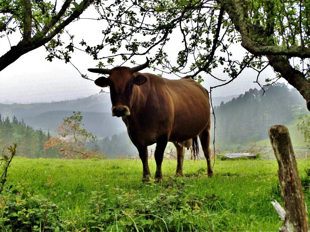 Route afbeelding slider