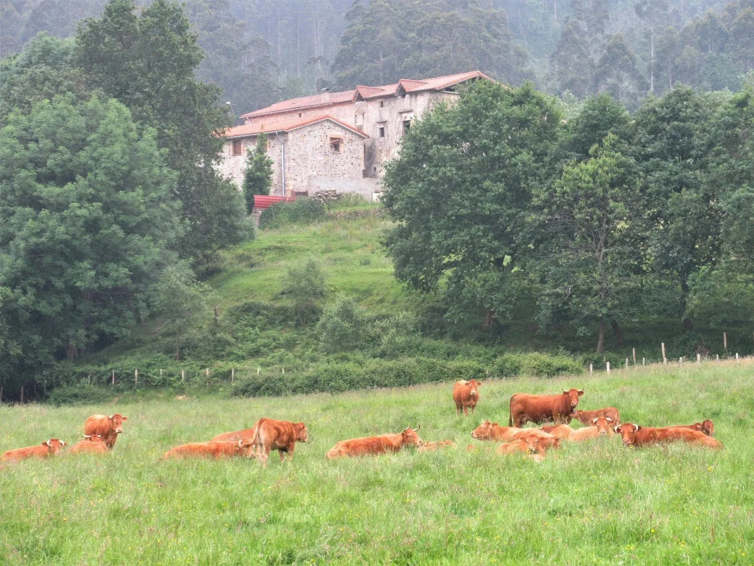 Route afbeelding slider