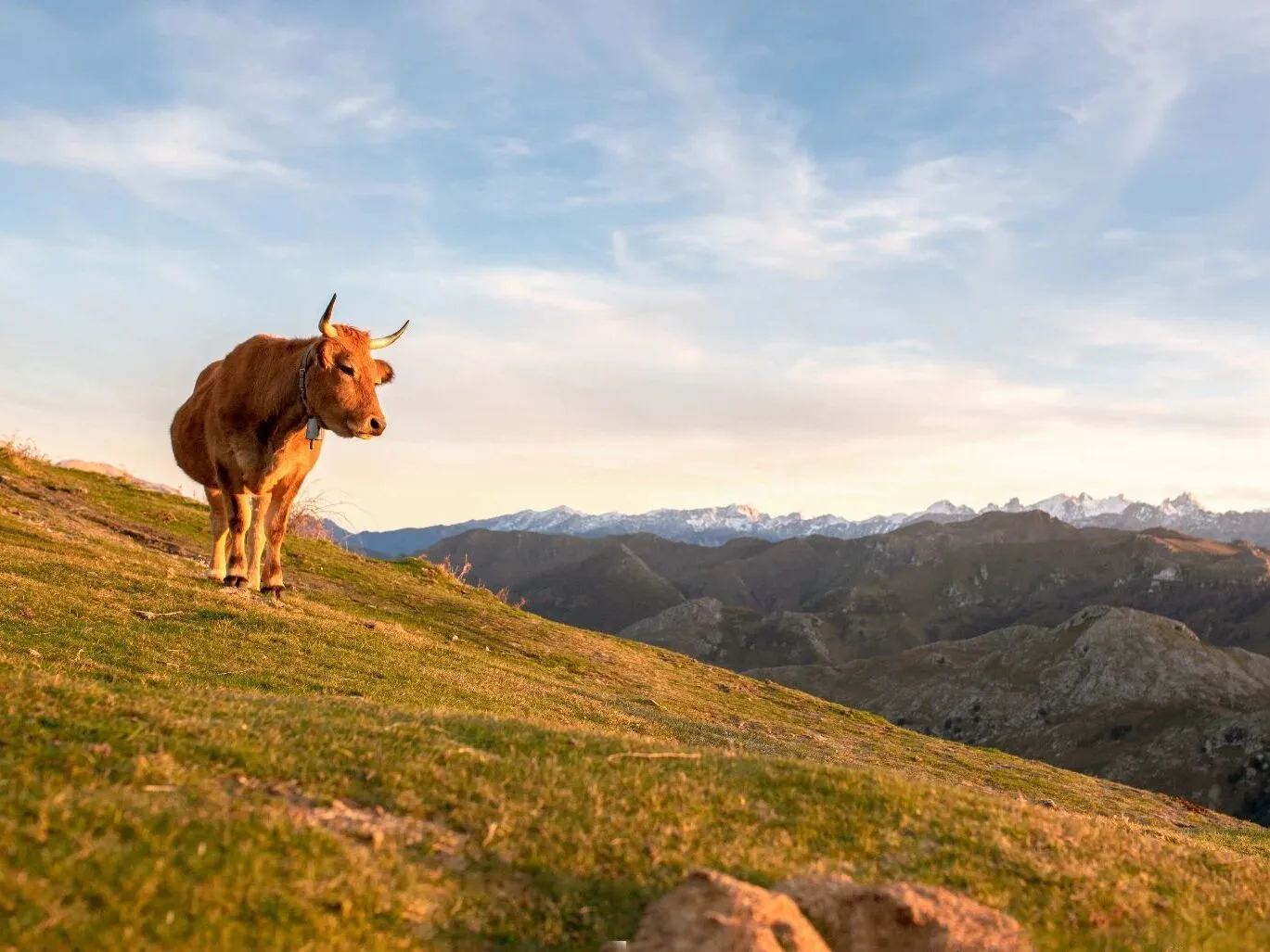 Route afbeelding slider