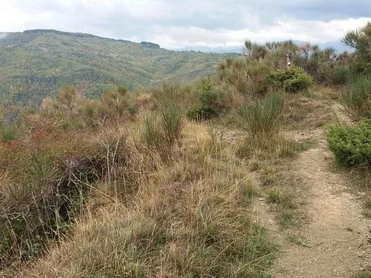 Route afbeelding slider