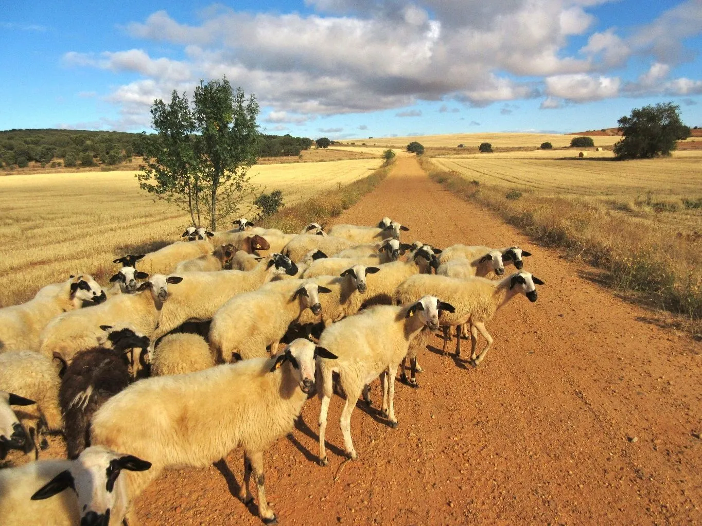 Route afbeelding slider