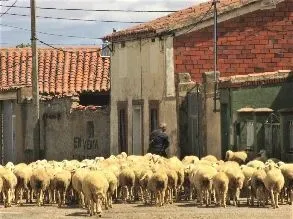 Route afbeelding slider