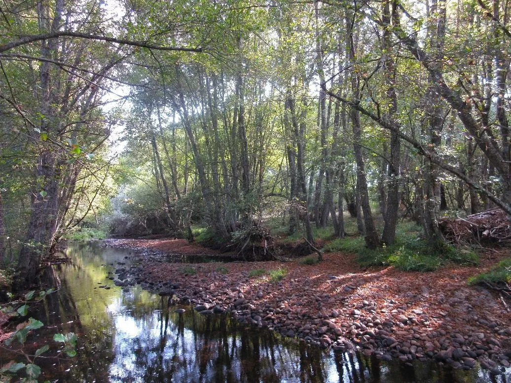 Route afbeelding slider