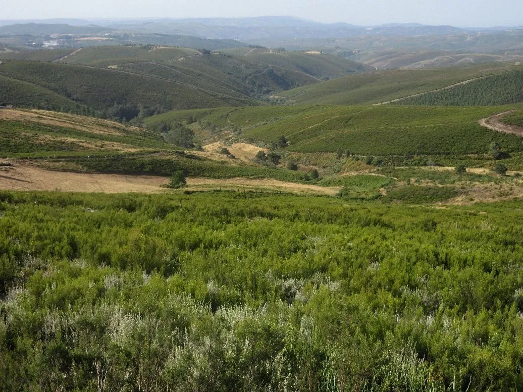 Route afbeelding slider