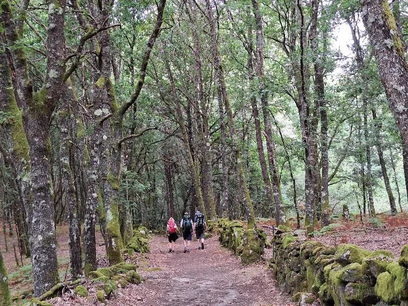 Route afbeelding slider