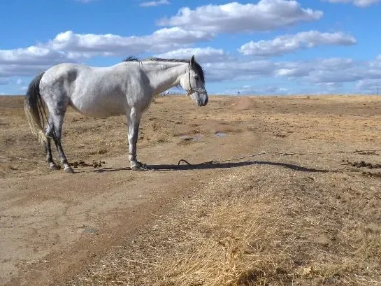 Route afbeelding slider
