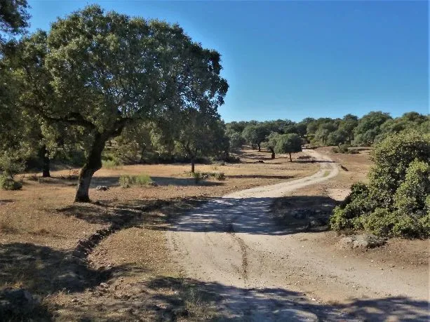 Route afbeelding slider