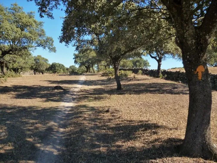 Route afbeelding slider