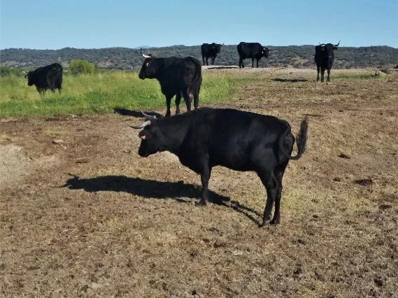 Route afbeelding slider