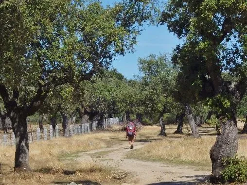 Route afbeelding slider