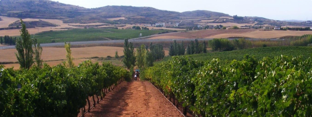 Route afbeelding placeholder